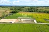 Land for sale in Pa Pong, Chiang Mai