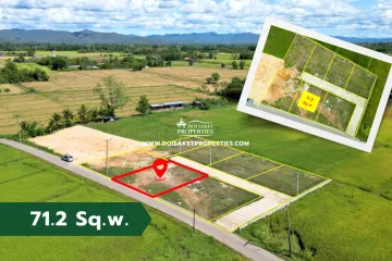 Land for sale in Pa Pong, Chiang Mai