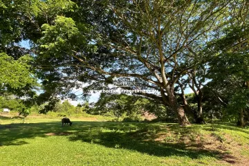 Land for sale in Luang Nuea, Chiang Mai