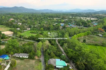 Land for sale in Luang Nuea, Chiang Mai