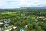 Land for sale in Luang Nuea, Chiang Mai