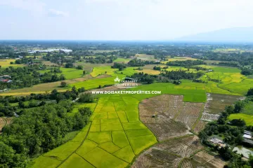 Land for sale in Nong Yaeng, Chiang Mai