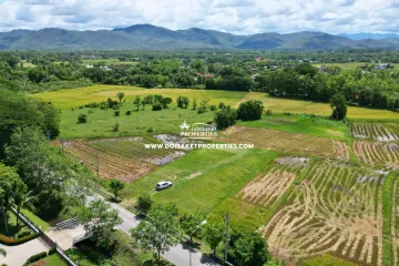 Land for sale in Luang Nuea, Chiang Mai