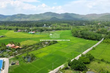 Land for sale in Luang Nuea, Chiang Mai
