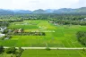 Land for sale in Luang Nuea, Chiang Mai