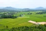 Land for sale in Luang Nuea, Chiang Mai