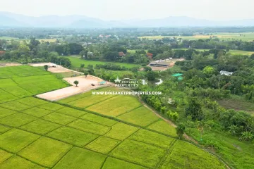 Land for sale in Luang Nuea, Chiang Mai