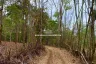 Land for sale in Ban Sahakon, Chiang Mai