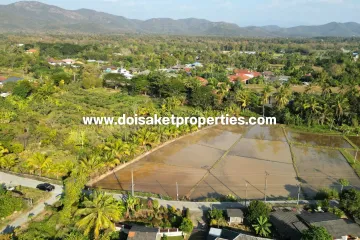 Land for sale in Luang Nuea, Chiang Mai