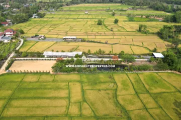 Land for sale in Choeng Doi, Chiang Mai