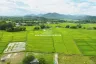 Land for sale in Luang Nuea, Chiang Mai