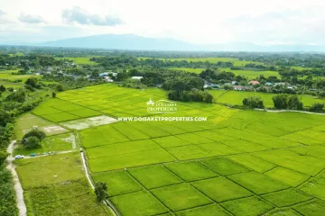 Land for sale in Luang Nuea, Chiang Mai