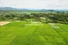 Land for sale in Luang Nuea, Chiang Mai