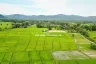 Land for sale in Luang Nuea, Chiang Mai