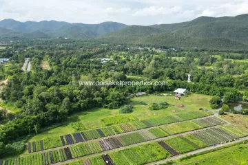 Land for sale in Pa Pong, Chiang Mai