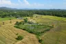 Land for sale in Luang Nuea, Chiang Mai