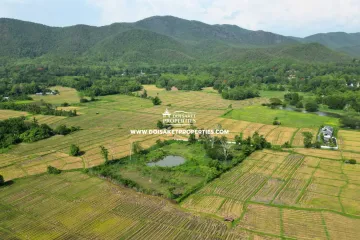 Land for sale in Luang Nuea, Chiang Mai