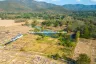 Land for sale in Luang Nuea, Chiang Mai