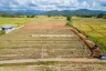 Land for sale in Pa Pong, Chiang Mai