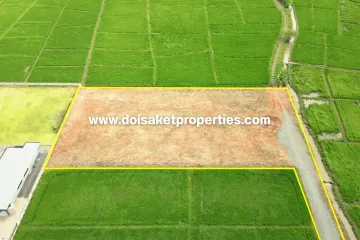 Land for sale in Pa Pong, Chiang Mai