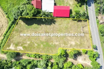 Land for sale in Luang Nuea, Chiang Mai