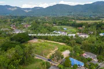 Land for sale in Luang Nuea, Chiang Mai