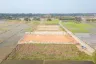 Land for sale in Pa Pong, Chiang Mai