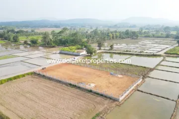 Land for sale in Pa Pong, Chiang Mai
