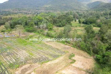 Land for sale in Luang Nuea, Chiang Mai