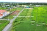 Land for sale in Choeng Doi, Chiang Mai