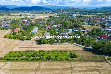 Land for sale in Luang Nuea, Chiang Mai