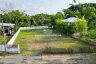 Land for sale in Choeng Doi, Chiang Mai