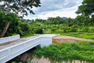 Land for sale in Luang Nuea, Chiang Mai