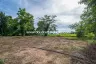 Land for sale in Pa Pong, Chiang Mai