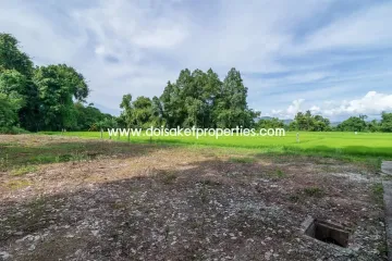 Land for sale in Pa Pong, Chiang Mai