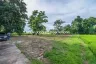 Land for sale in Pa Pong, Chiang Mai