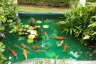 2 Bedroom House for sale in On Tai, Chiang Mai
