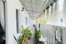 3 Bedroom House for sale in Pa Pong, Chiang Mai