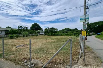 Land for sale in San Sai Luang, Chiang Mai