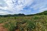 Land for sale in Pak Nam Pran, Prachuap Khiri Khan