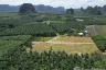 Land for sale in Prime Land for Sale in Nong Thale Krabi, Nong Thale, Krabi