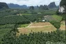Land for sale in Prime Land for Sale in Nong Thale Krabi, Nong Thale, Krabi