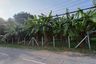 Land for sale in Tha Raeng, Bangkok near MRT Vatcharaphon