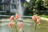 1 Bedroom Condo for sale in Natura Green Residence, Chang Phueak, Chiang Mai