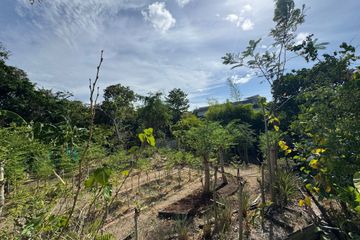 Land for sale in Bo Phut, Surat Thani