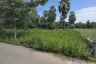 Land for sale in Bang Kao, Phetchaburi