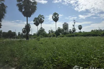 Land for sale in Bang Kao, Phetchaburi