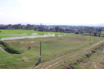 Land for sale in Huai Sai, Chiang Mai