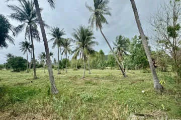 Land for sale in Sam Roi Yot, Prachuap Khiri Khan