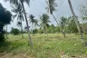 Land for sale in Sam Roi Yot, Prachuap Khiri Khan
